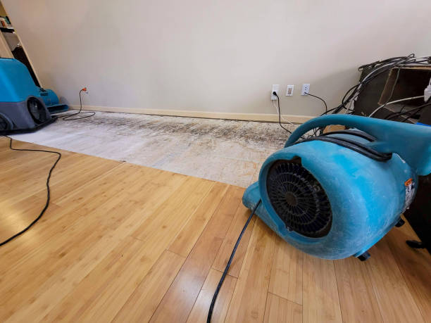 Professional Basement Flood Cleanup technician working in Granite Falls, MN